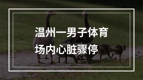 温州一男子体育场内心脏骤停