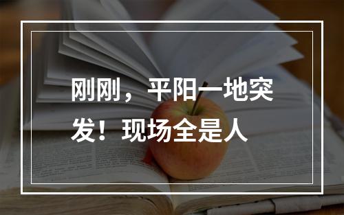 刚刚，平阳一地突发！现场全是人