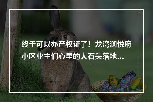 终于可以办产权证了！龙湾澜悦府小区业主们心里的大石头落地了…