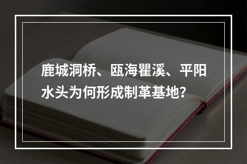 鹿城洞桥、瓯海瞿溪、平阳水头为何形成制革基地？