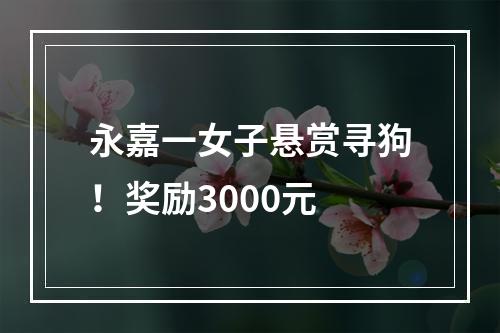 永嘉一女子悬赏寻狗！奖励3000元