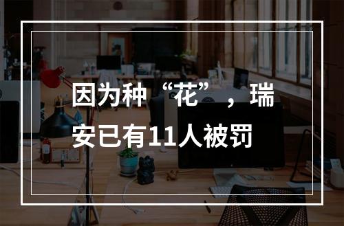 因为种“花”，瑞安已有11人被罚