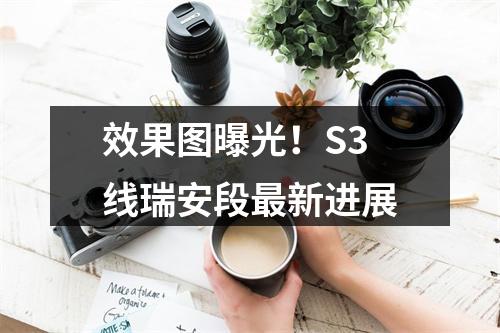 效果图曝光！S3线瑞安段最新进展