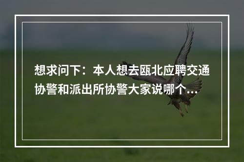 想求问下：本人想去瓯北应聘交通协警和派出所协警大家说哪个岗位好？