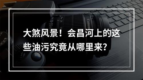 大煞风景！会昌河上的这些油污究竟从哪里来？
