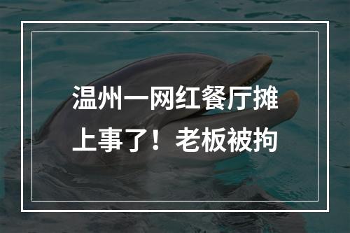 温州一网红餐厅摊上事了！老板被拘