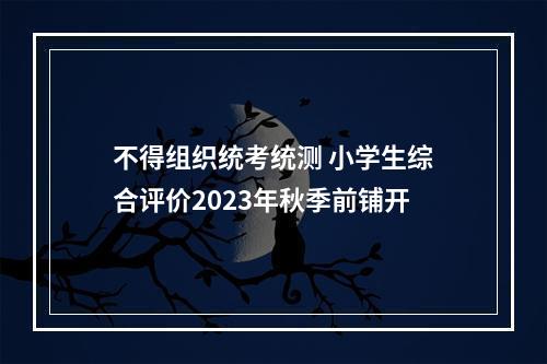 不得组织统考统测 小学生综合评价2023年秋季前铺开