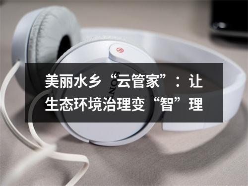 美丽水乡“云管家”：让生态环境治理变“智”理