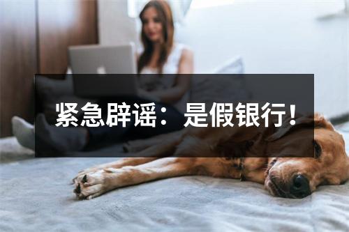 紧急辟谣：是假银行！