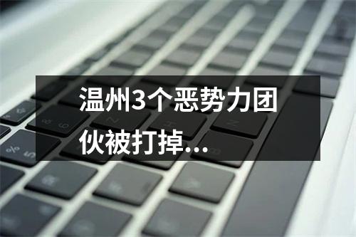 温州3个恶势力团伙被打掉...