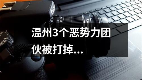 温州3个恶势力团伙被打掉...