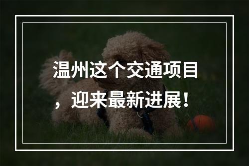 温州这个交通项目，迎来最新进展！