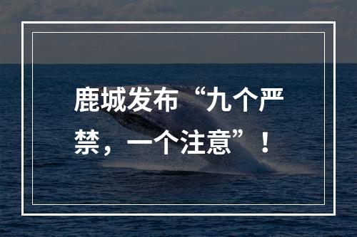 鹿城发布“九个严禁，一个注意”！