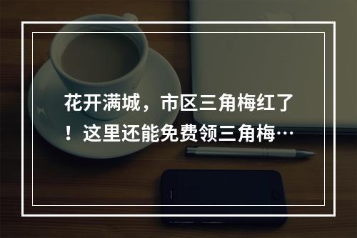 花开满城，市区三角梅红了！这里还能免费领三角梅…