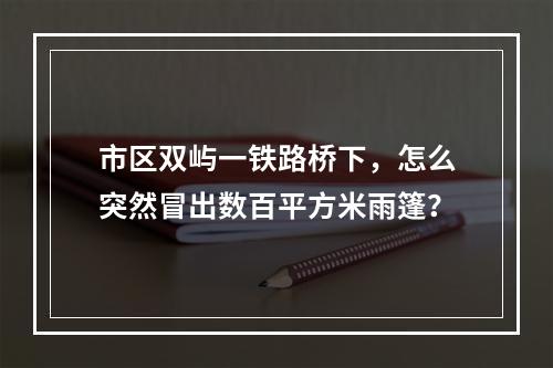市区双屿一铁路桥下，怎么突然冒出数百平方米雨篷？
