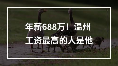 年薪688万！温州工资最高的人是他