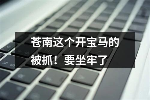 苍南这个开宝马的被抓！要坐牢了