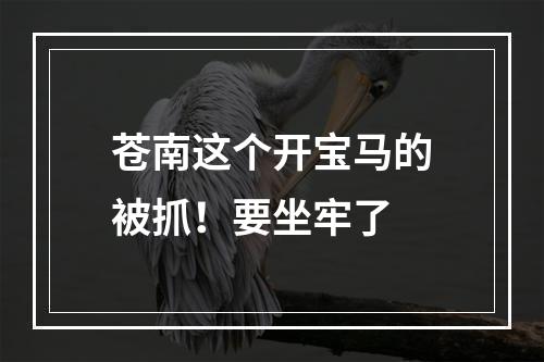 苍南这个开宝马的被抓！要坐牢了