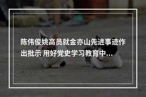 陈伟俊姚高员就金亦山先进事迹作出批示 用好党史学习教育中的鲜活教材