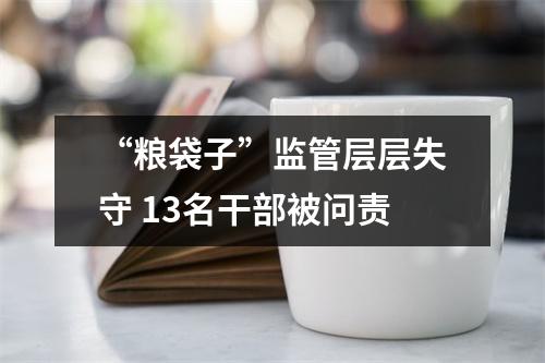 “粮袋子”监管层层失守 13名干部被问责