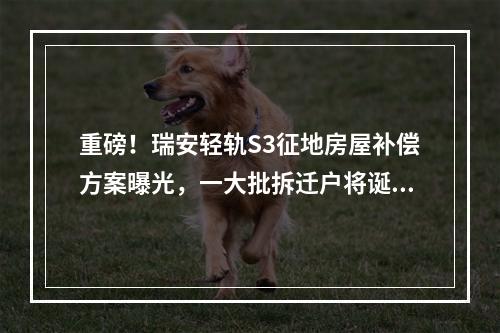 重磅！瑞安轻轨S3征地房屋补偿方案曝光，一大批拆迁户将诞生
