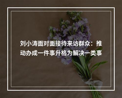 刘小涛面对面接待来访群众：推动办成一件事升格为解决一类事