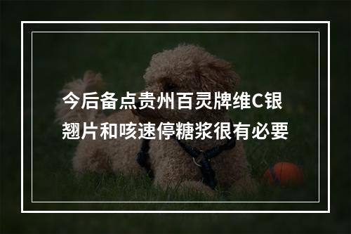 今后备点贵州百灵牌维C银翘片和咳速停糖浆很有必要