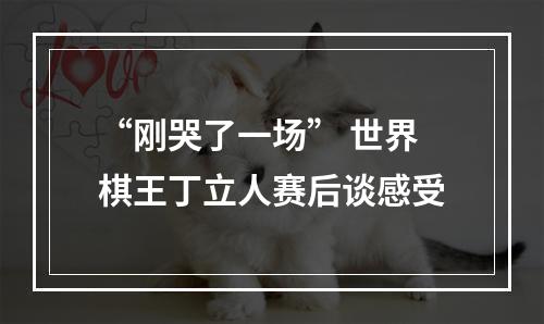 “刚哭了一场” 世界棋王丁立人赛后谈感受