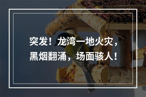 突发！龙湾一地火灾，黑烟翻涌，场面骇人！