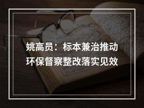姚高员：标本兼治推动环保督察整改落实见效
