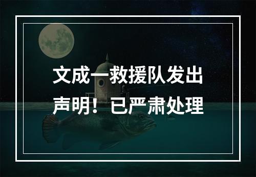 文成一救援队发出声明！已严肃处理