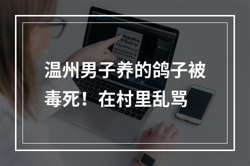 温州男子养的鸽子被毒死！在村里乱骂
