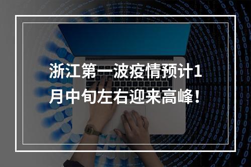 浙江第一波疫情预计1月中旬左右迎来高峰！
