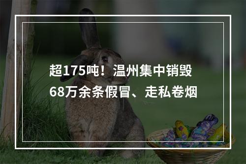 超175吨！温州集中销毁68万余条假冒、走私卷烟