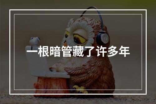 一根暗管藏了许多年