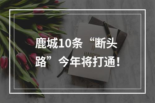 鹿城10条“断头路”今年将打通！