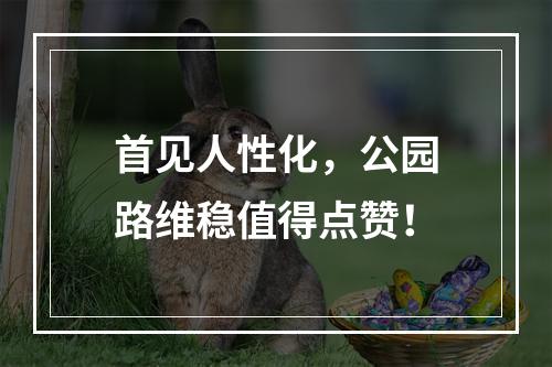 首见人性化，公园路维稳值得点赞！