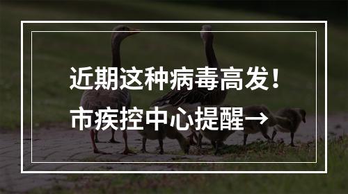 近期这种病毒高发！市疾控中心提醒→