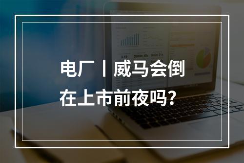 电厂丨威马会倒在上市前夜吗？