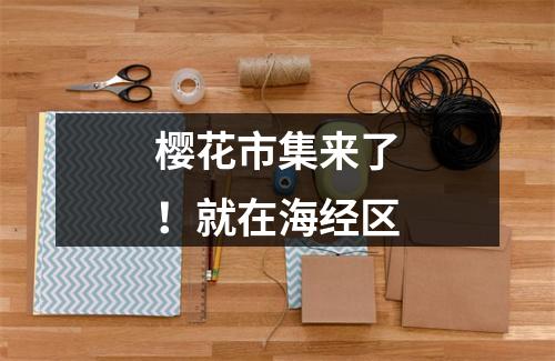 樱花市集来了！就在海经区