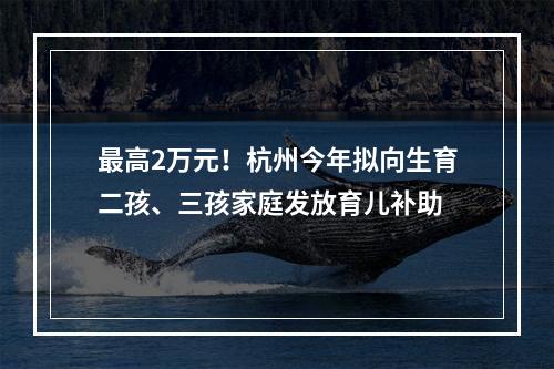 最高2万元！杭州今年拟向生育二孩、三孩家庭发放育儿补助