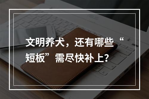 文明养犬，还有哪些“短板”需尽快补上？