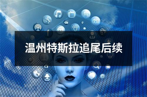 温州特斯拉追尾后续