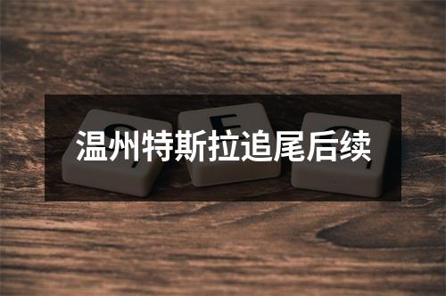 温州特斯拉追尾后续