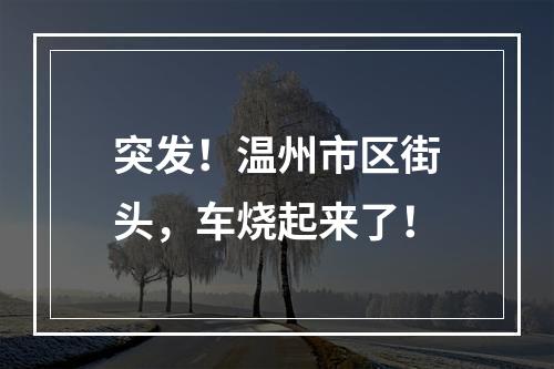 突发！温州市区街头，车烧起来了！