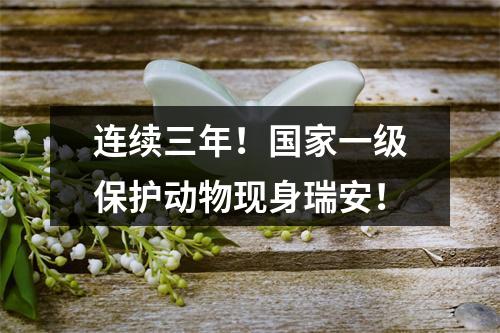 连续三年！国家一级保护动物现身瑞安！