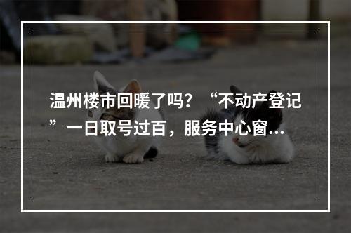 温州楼市回暖了吗？“不动产登记”一日取号过百，服务中心窗口工作人员放弃午休…