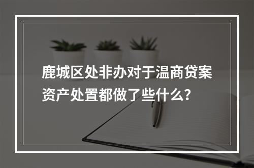鹿城区处非办对于温商贷案资产处置都做了些什么？