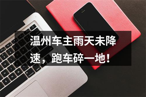 温州车主雨天未降速，跑车碎一地！