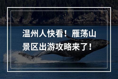 温州人快看！雁荡山景区出游攻略来了！
